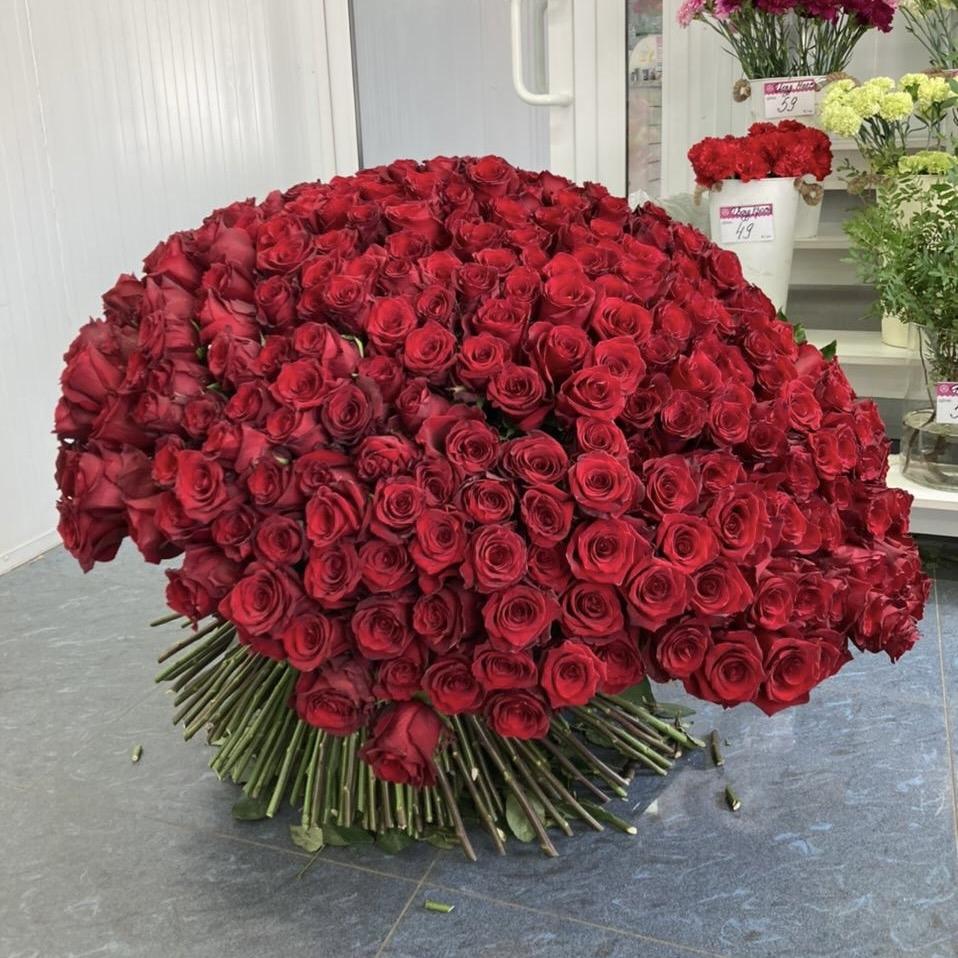 Букеты из красных роз 80 см (Эквадор) Артикул  46056u