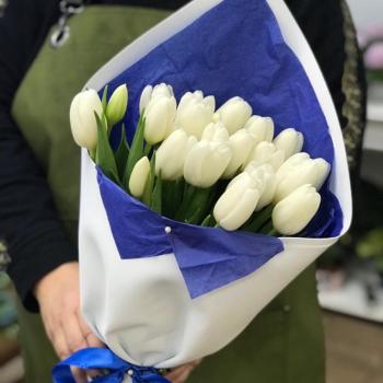 Белые тюльпаны 23 шт. [№  76494]