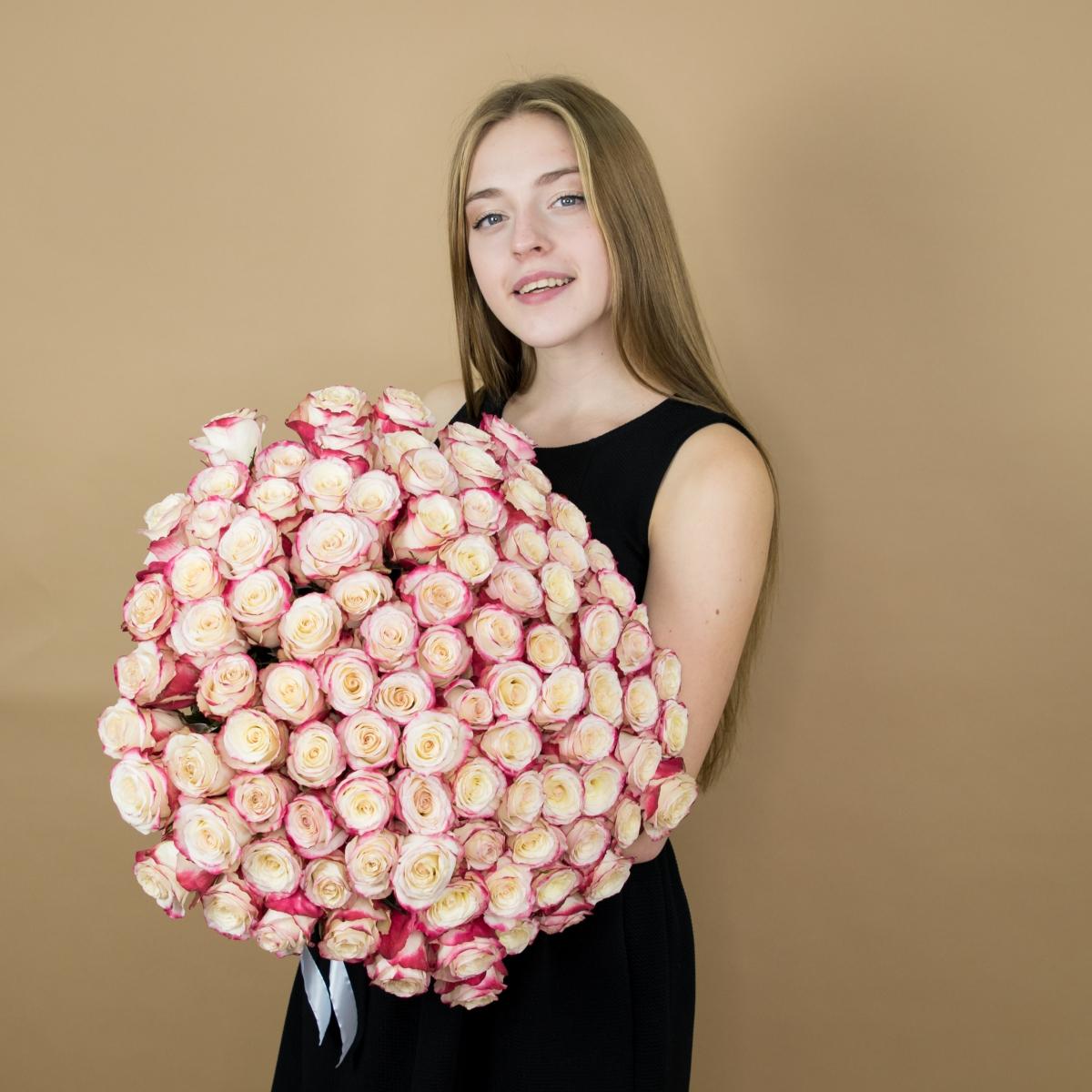 Розы красно-белые (40 см) Эквадор код товара  114