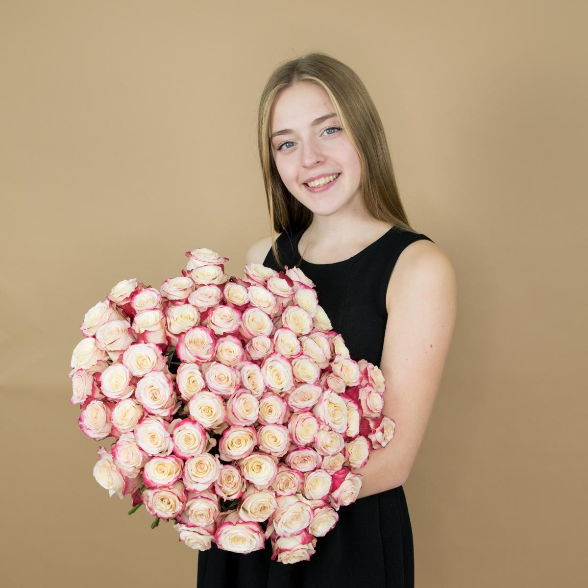 Розы красно-белые (40 см) Эквадор код товара  114
