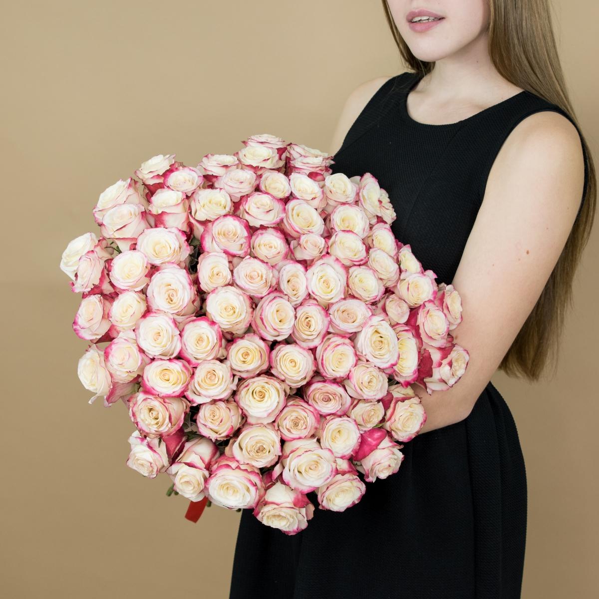 Розы красно-белые 101 шт. (40 см) articul  20292